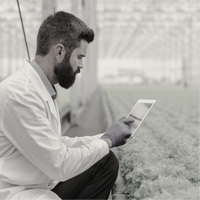 agriculture software